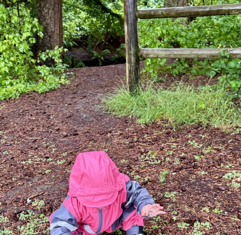 A toddler in a pink rain suit crouching on a wet forest trail