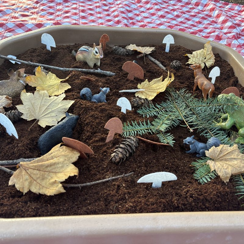 A tray of dark coconut coir set up as a small forest with toy animals, felt mushrooms, yellow leaves, pinecones, and fir branches
