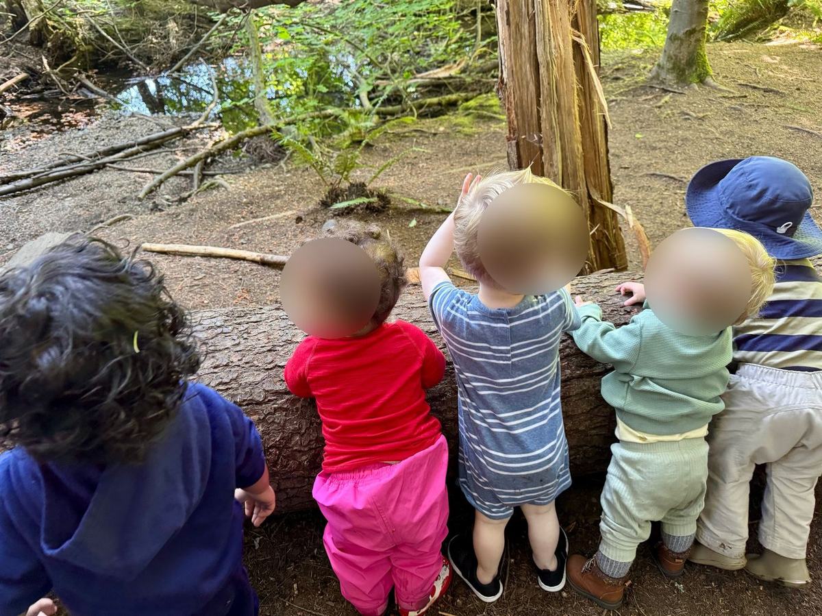 A row of toddlers leaning on a fallen log, peering at a forest creek