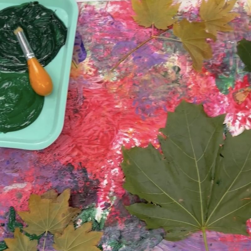 Maple leaves and green paint on the class canvas