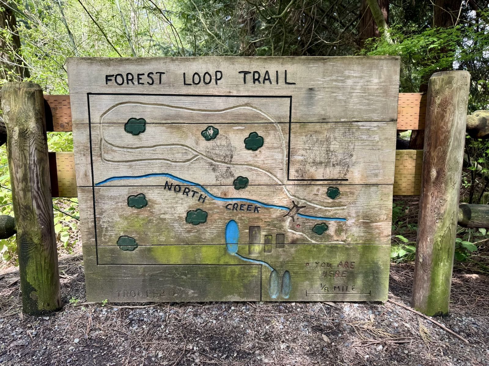 A hand-carved wooden trail map sign reading 'Forest Loop Trail' with a You Are Here marker, mounted in a Pacific Northwest forest