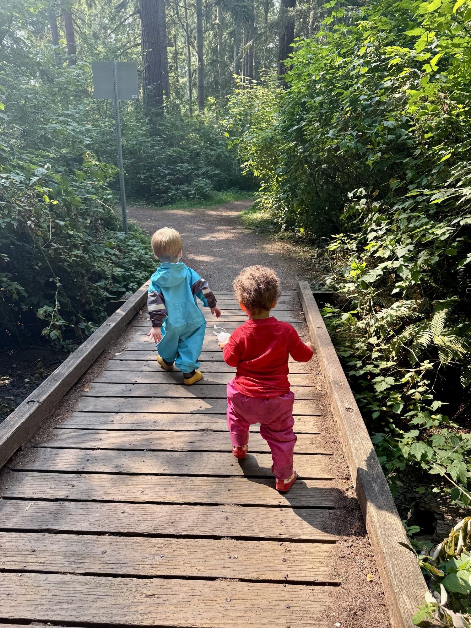 Two toddlers in rain gear and boots walking across a wooden bridge on a forest trail