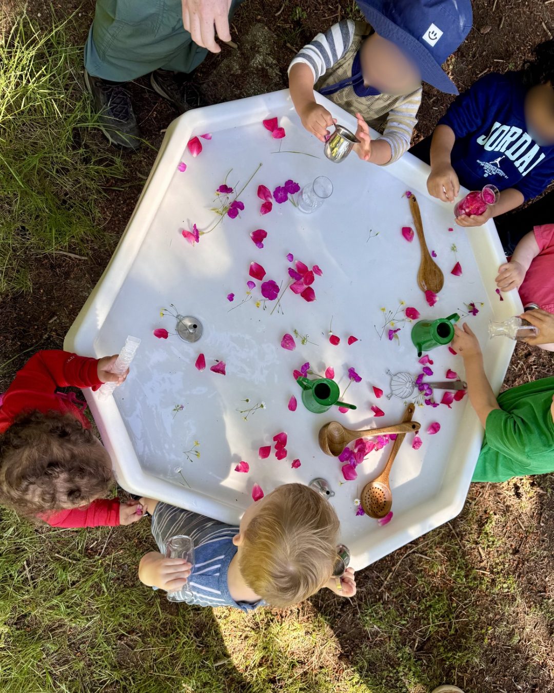 Looking down on toddlers gathered around a white tray of water and flower petals, scooping and pouring with cups, wooden spoons, and little watering cans