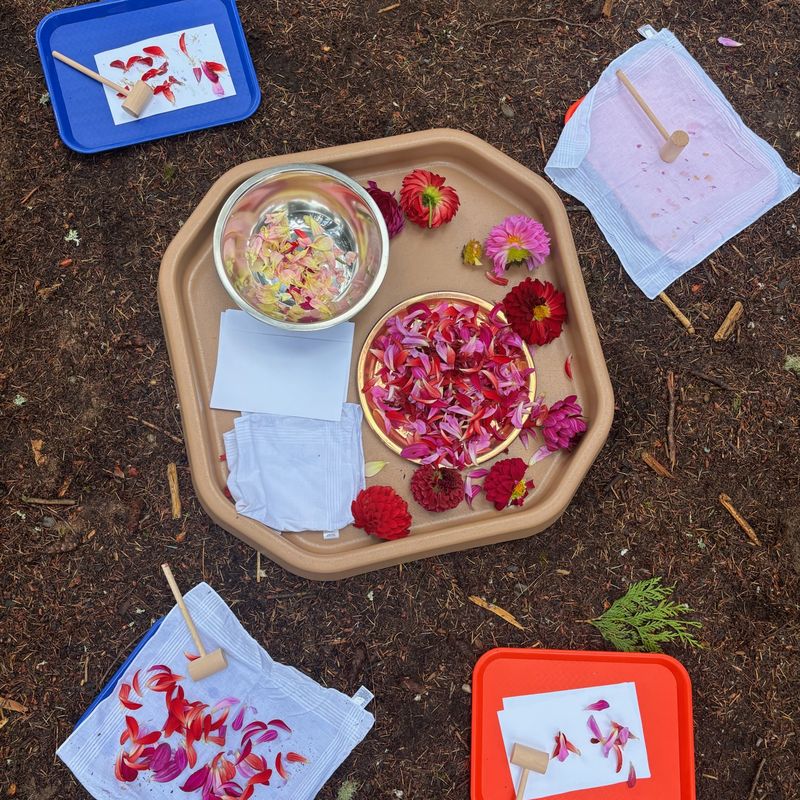 Trays of dahlia petals, cloths, paper, and small wooden mallets for pounding flower prints