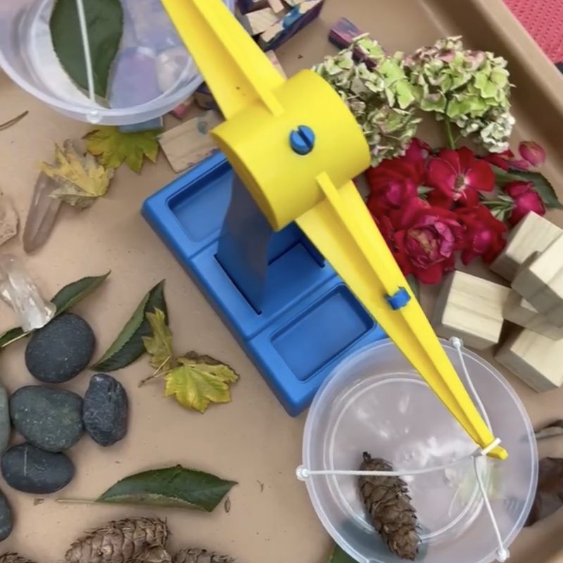 A balance scale for weighing pinecones, leaves, stones, flowers, and wood blocks