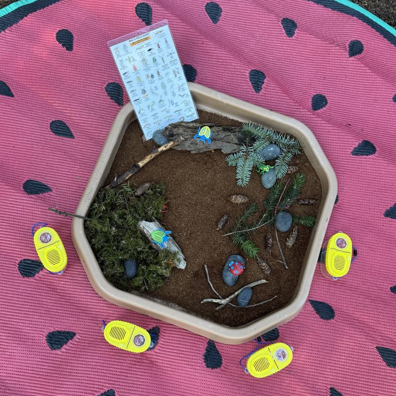 A small world bug tray with moss, bark, pinecones, toy bugs, bug viewers, and a field guide