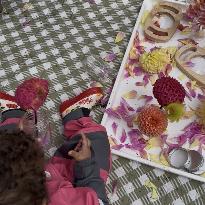 A toddler exploring a tray of dahlias and petals with wooden hand lenses