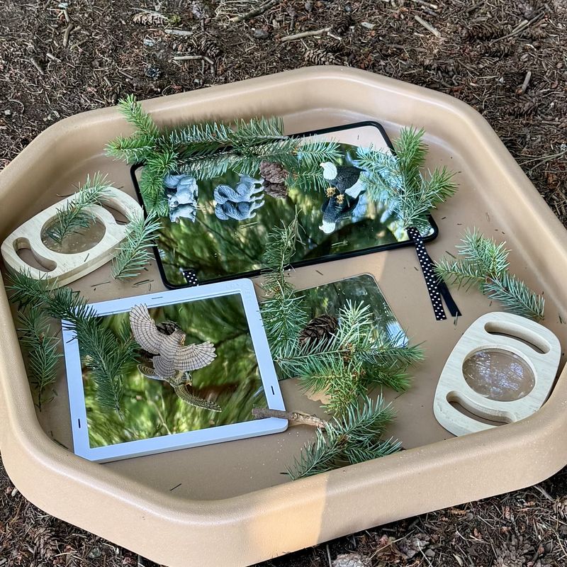 A small world tray with mirrors reflecting the trees, wildlife figures, pine branches, pinecones, and wooden hand lenses