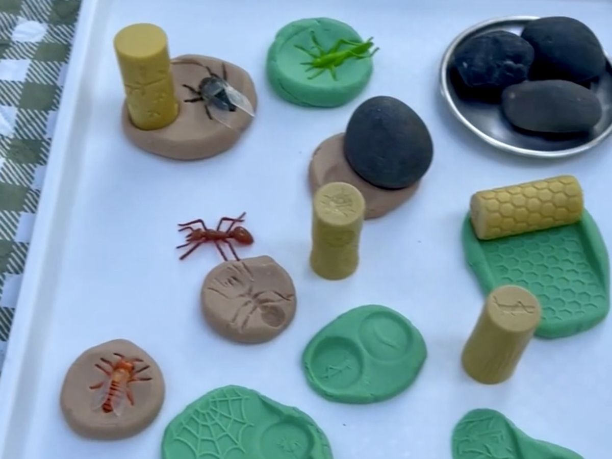 Playdough on a tray with plastic bugs, bug stamp rollers, stones, and sticks