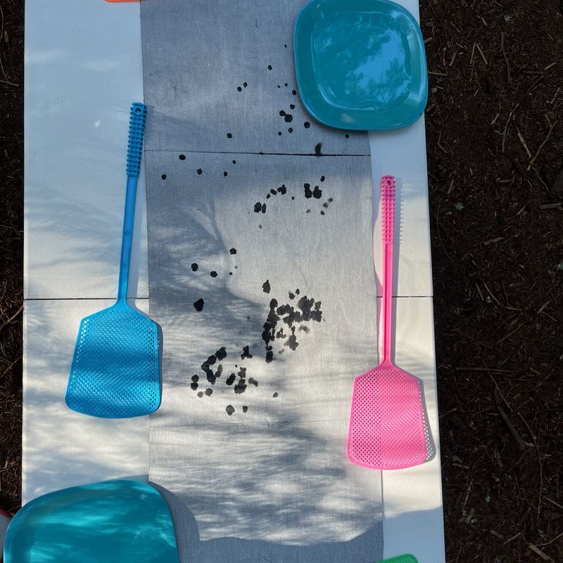 Colorful fly swatters and plates of water beside a magic water canvas dotted with dark splashes